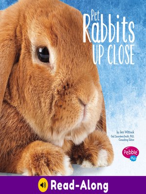 cover image of Pet Rabbits Up Close